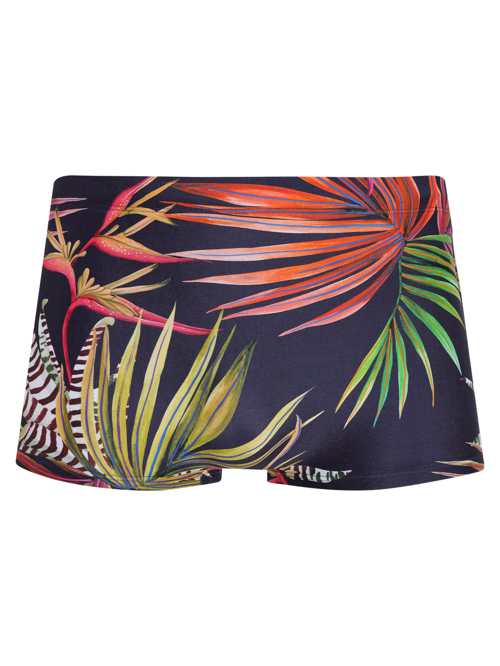Tijuca Foliage-Print  9-inch Sides Fitted Swimming Trunks