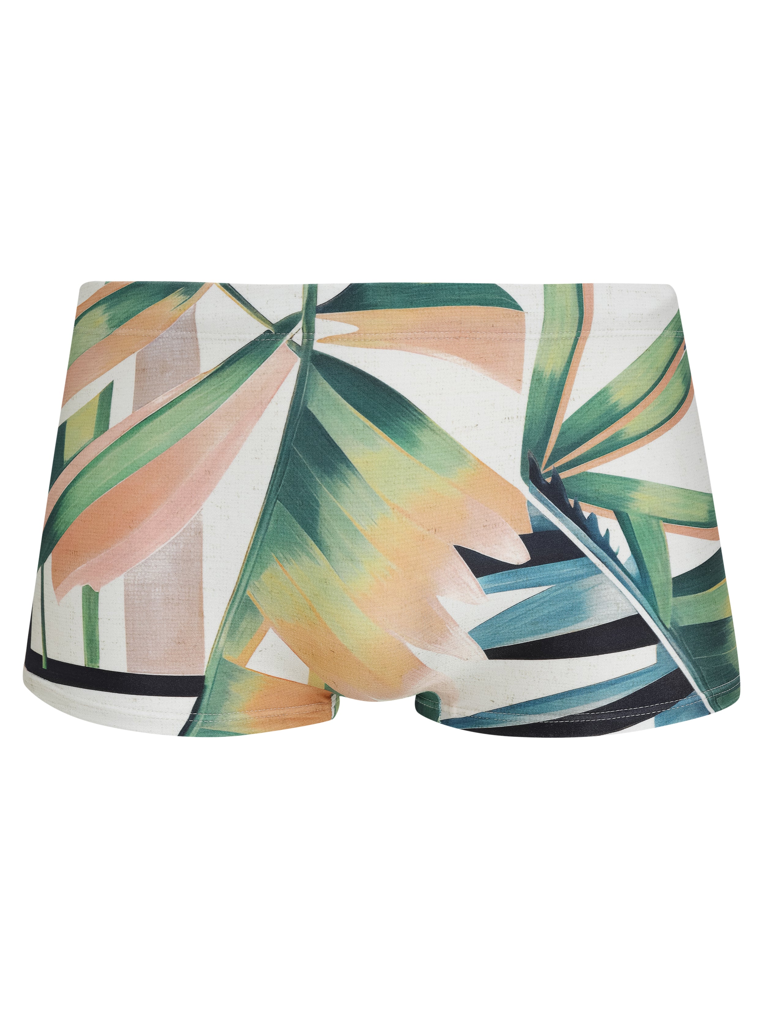 Tijuca Foliage-Print 9-inch Sides Fitted Swimming Trunks