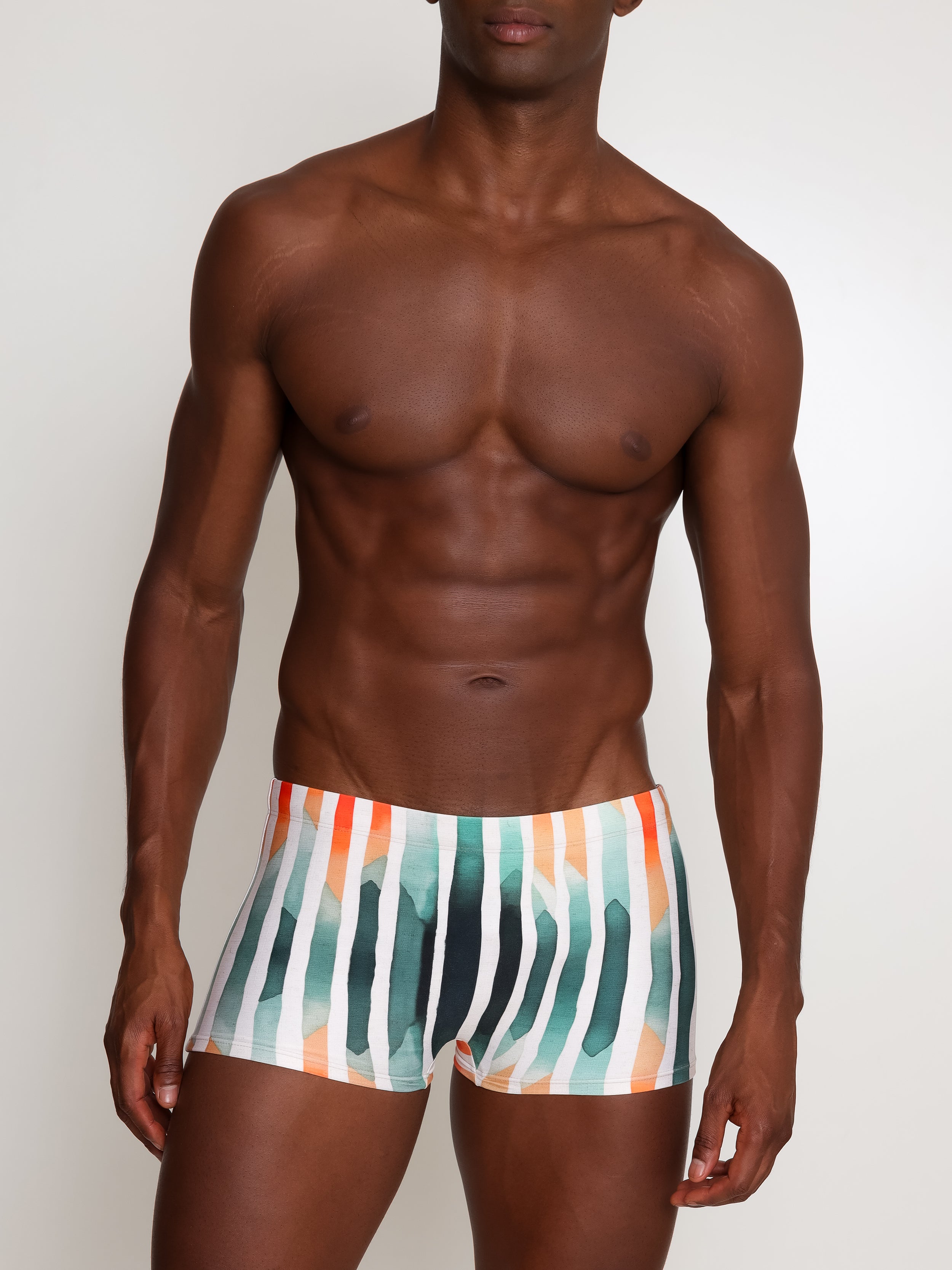 Tijuca Striped-Print Striped 9-inch Sides Fitted Swimming Trunks