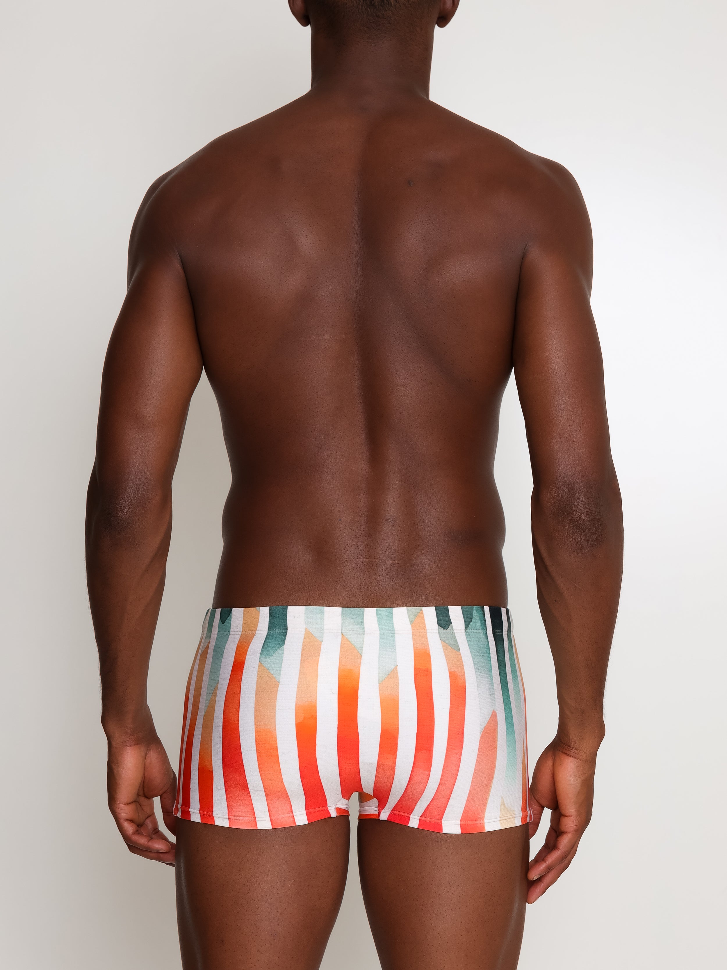 Tijuca Striped-Print Striped 9-inch Sides Fitted Swimming Trunks