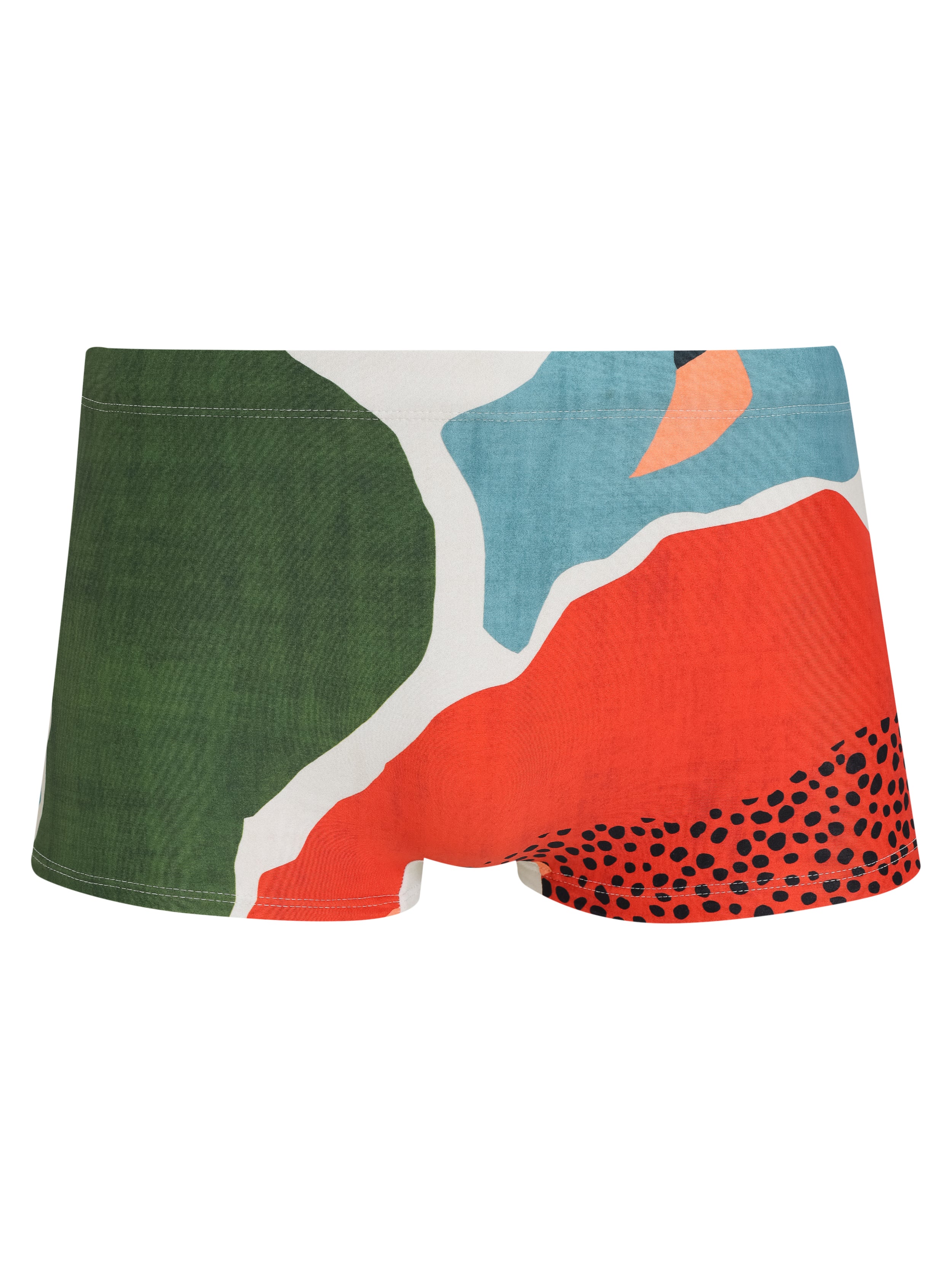 Tijuca Abstract-Print Striped 9-inch Sides Fitted Swimming Trunks