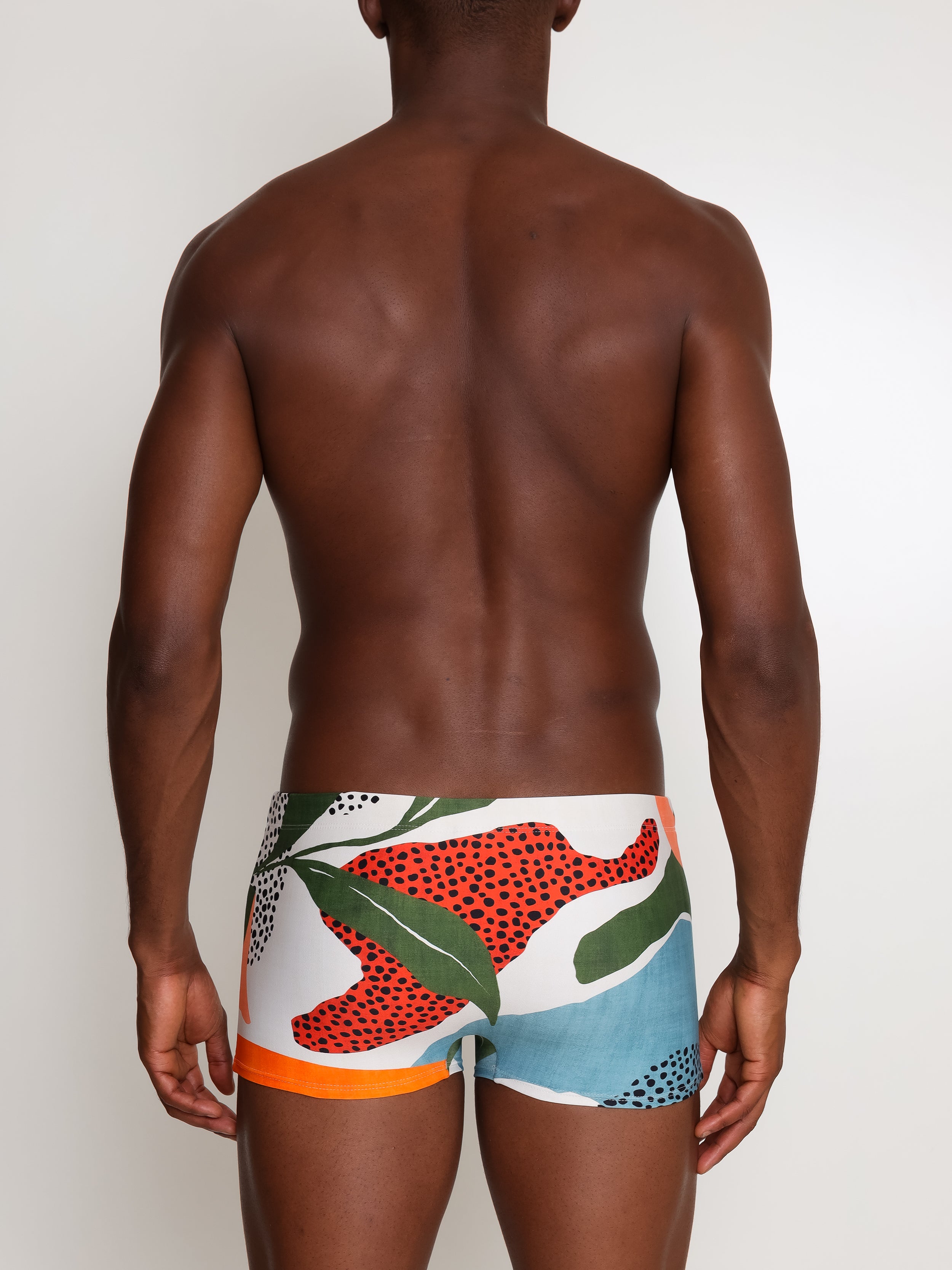 Tijuca Abstract-Print Striped 9-inch Sides Fitted Swimming Trunks