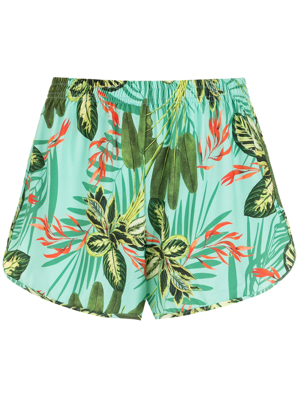 Lee Foliage-Print Striped Shorts Martinica