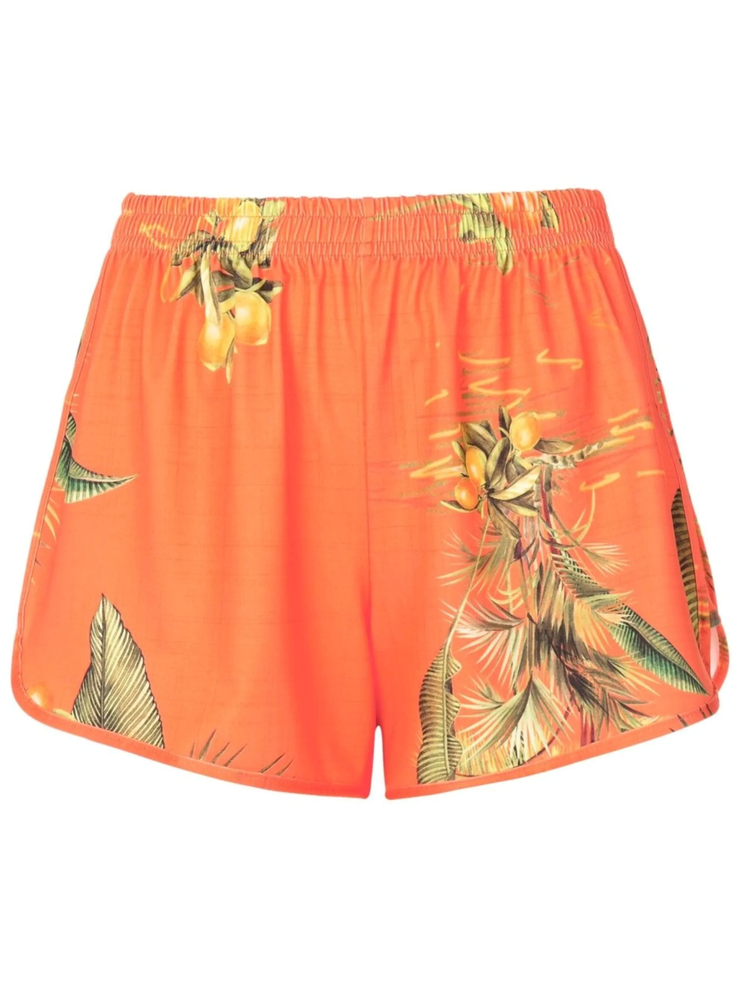 Lee Printed Striped Shorts Dende