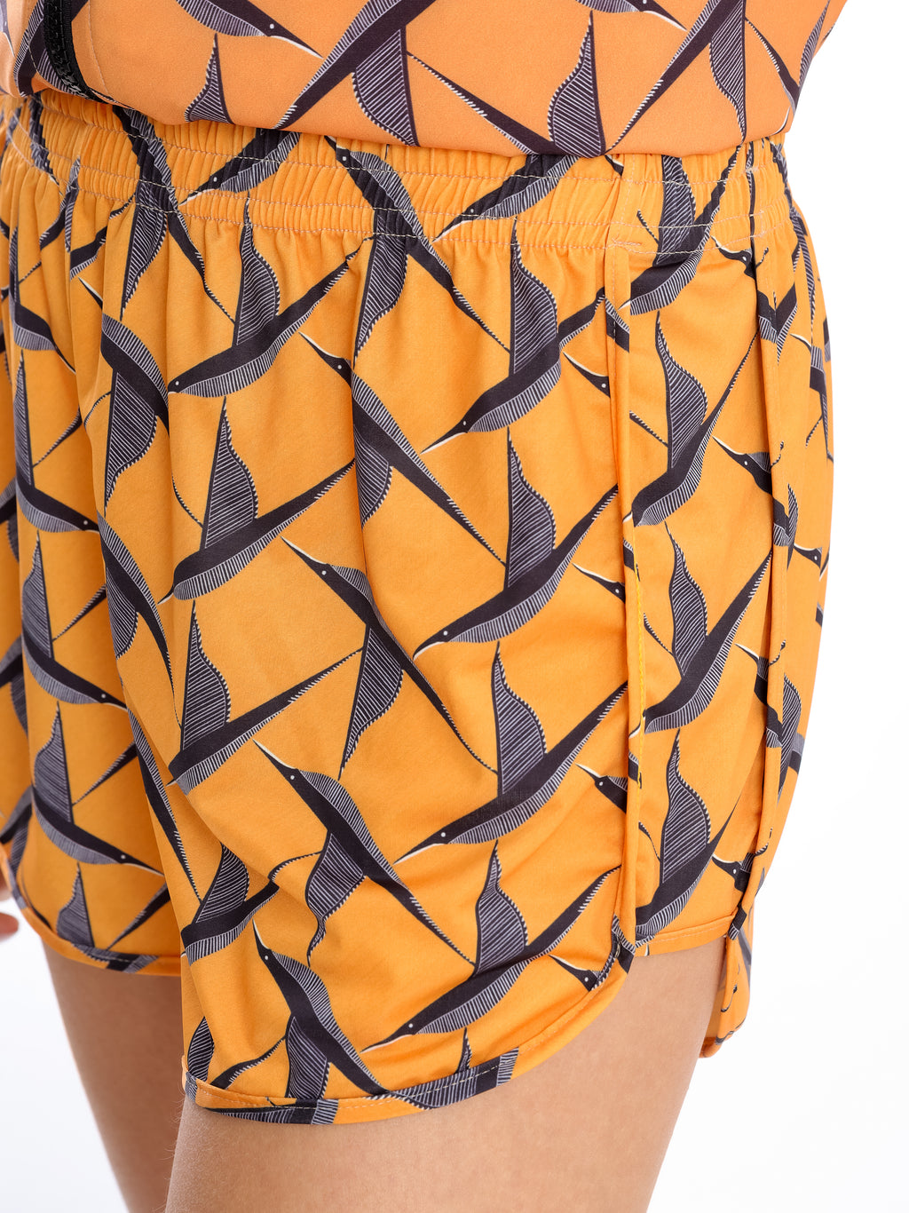 Lee Bird Print Striped Shorts Caatinga