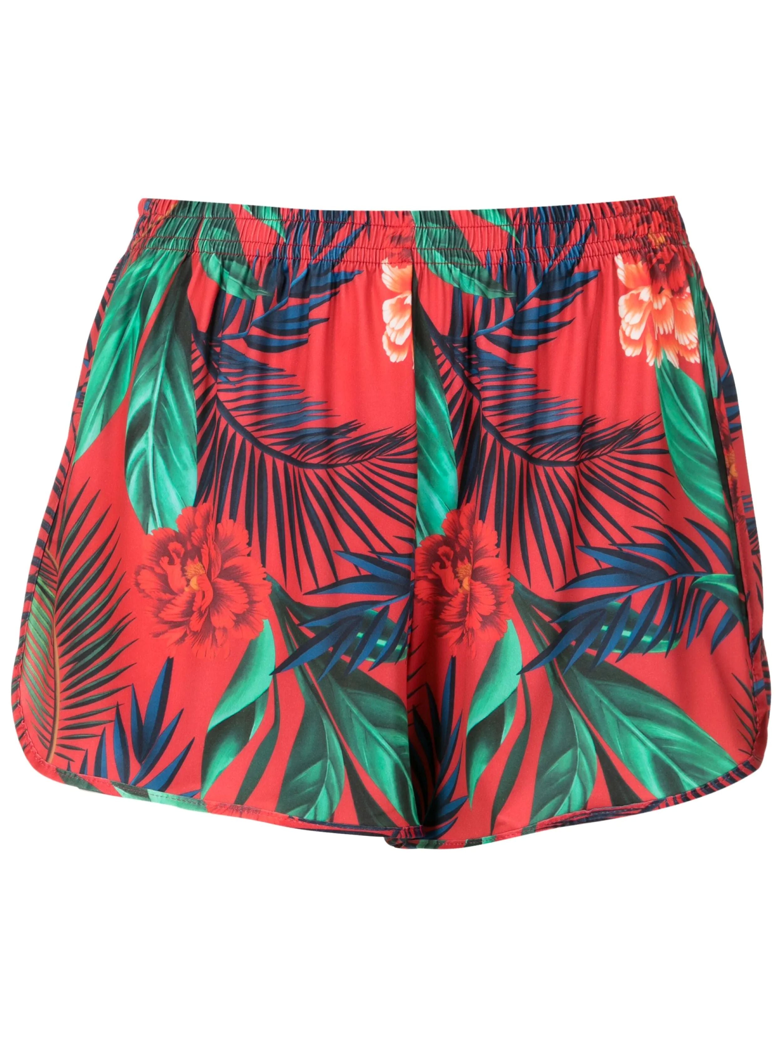 Lee Foliage-Print Striped Shorts Geisha